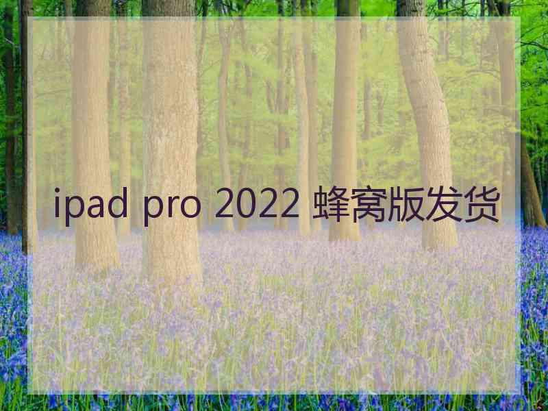 ipad pro 2022 蜂窝版发货