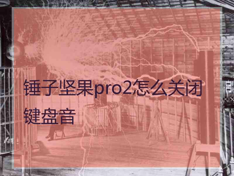 锤子坚果pro2怎么关闭键盘音