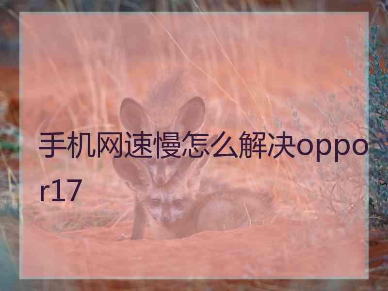 手机网速慢怎么解决oppor17