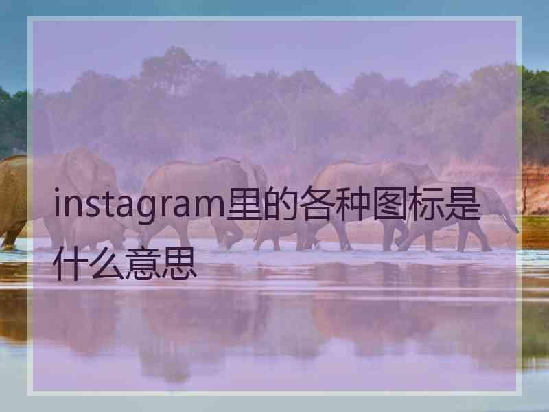 instagram里的各种图标是什么意思