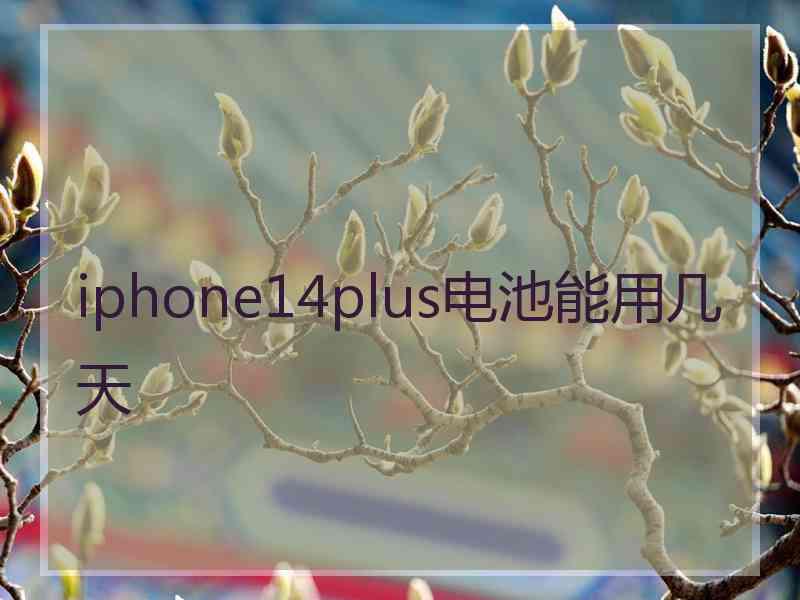 iphone14plus电池能用几天