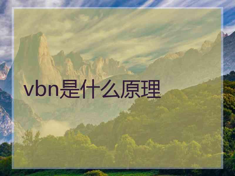 vbn是什么原理