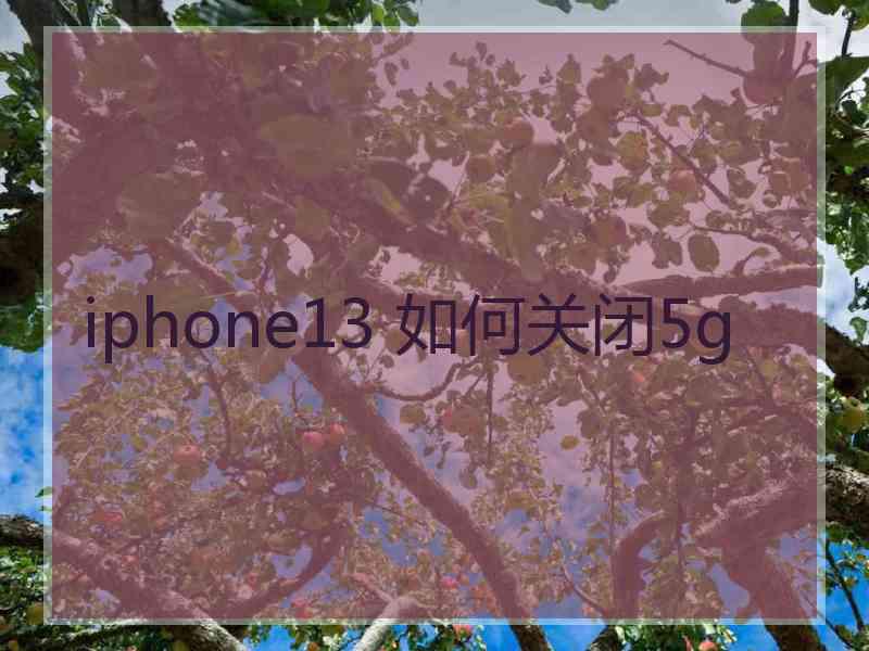 iphone13 如何关闭5g