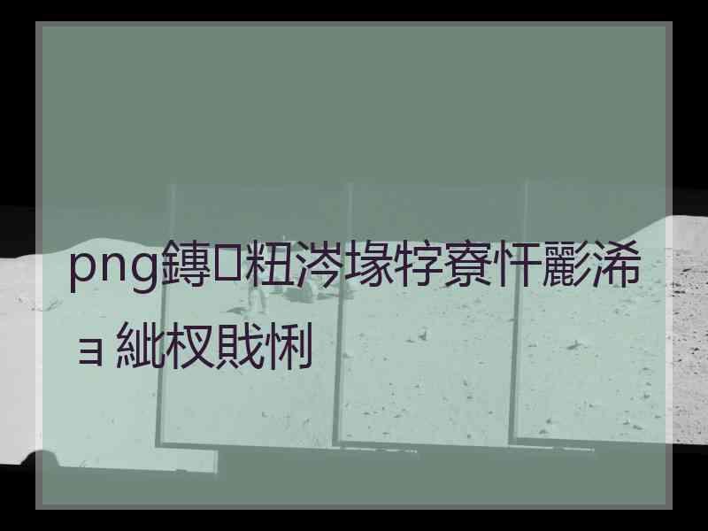 png鏄粈涔堟牸寮忓彲浠ョ紪杈戝悧