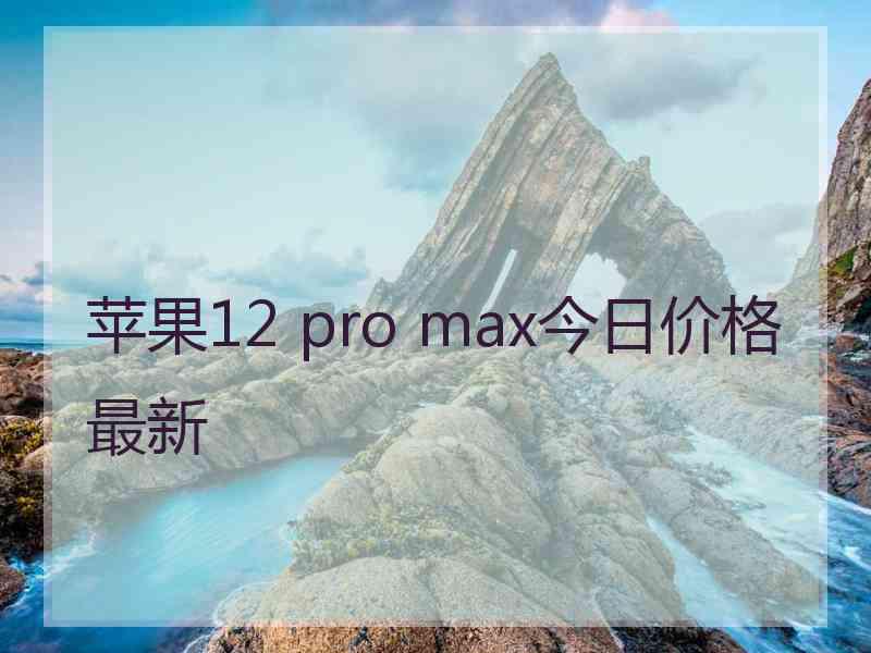 苹果12 pro max今日价格最新