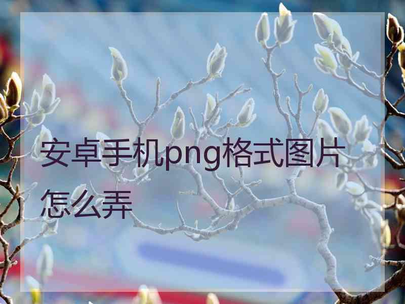 安卓手机png格式图片怎么弄