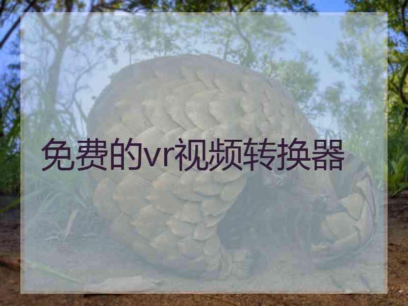 免费的vr视频转换器