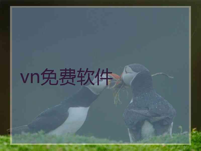 vn免费软件