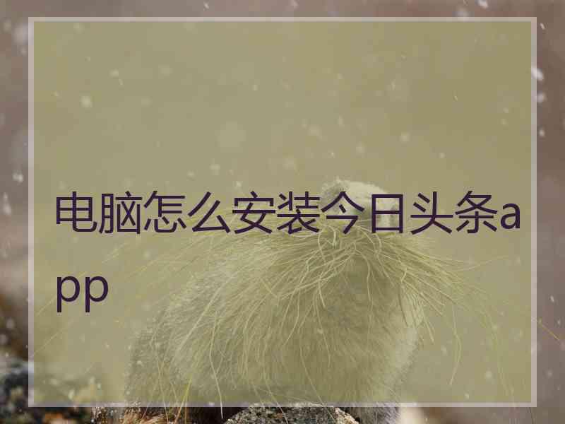 电脑怎么安装今日头条app