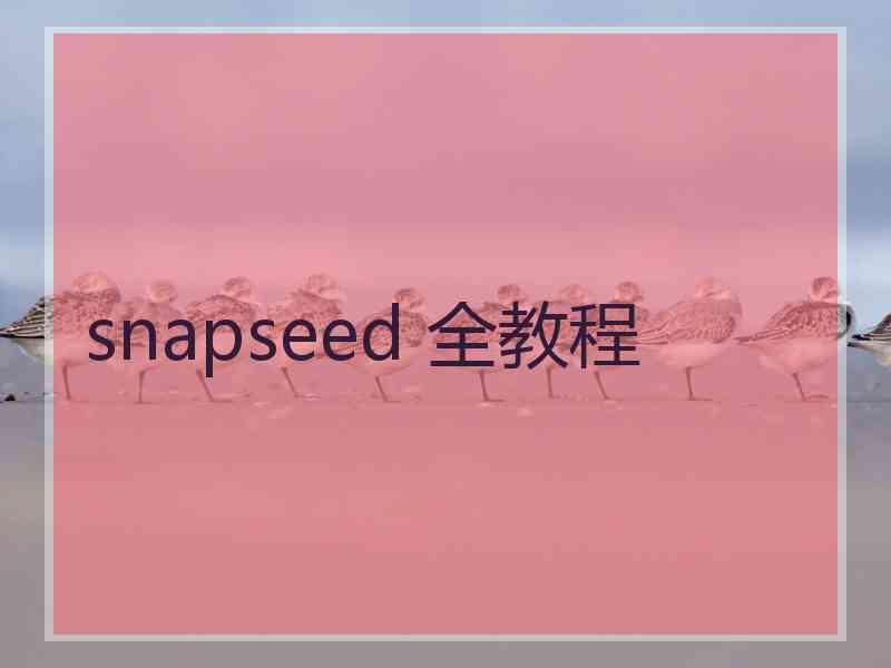 snapseed 全教程