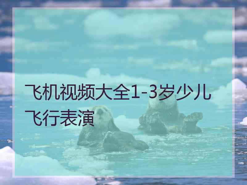 飞机视频大全1-3岁少儿 飞行表演