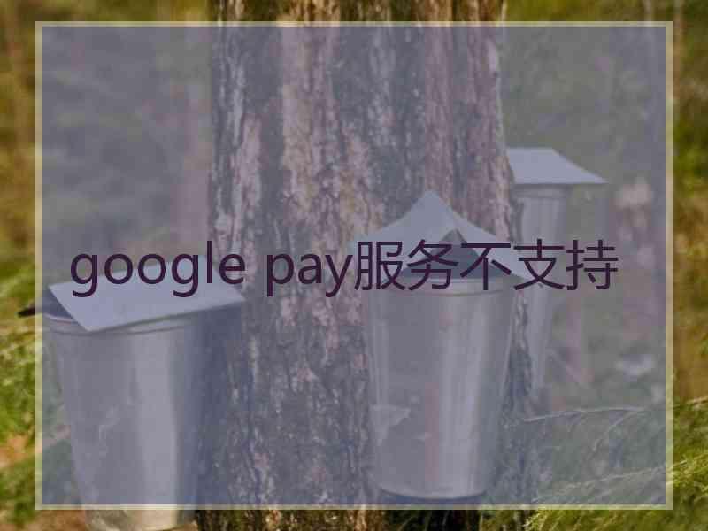 google pay服务不支持