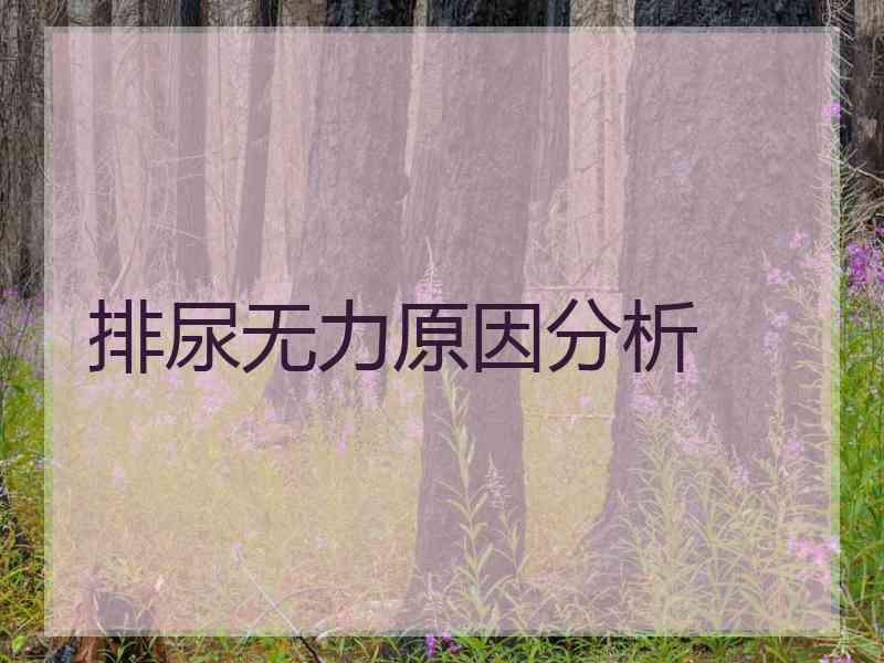 排尿无力原因分析