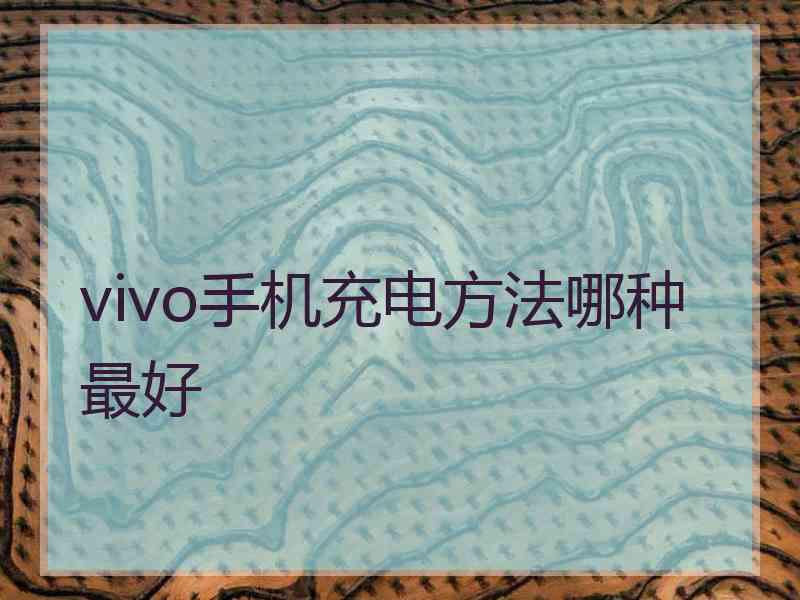 vivo手机充电方法哪种最好