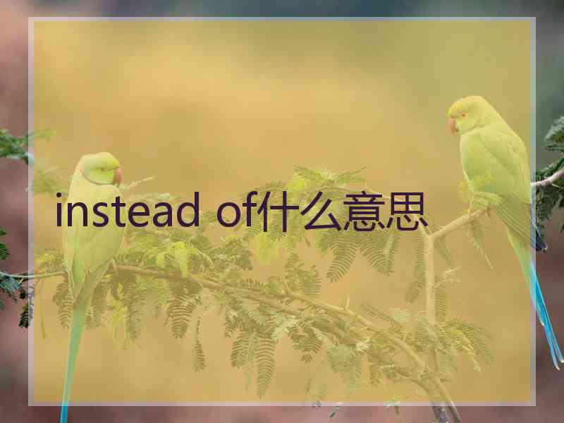 instead of什么意思