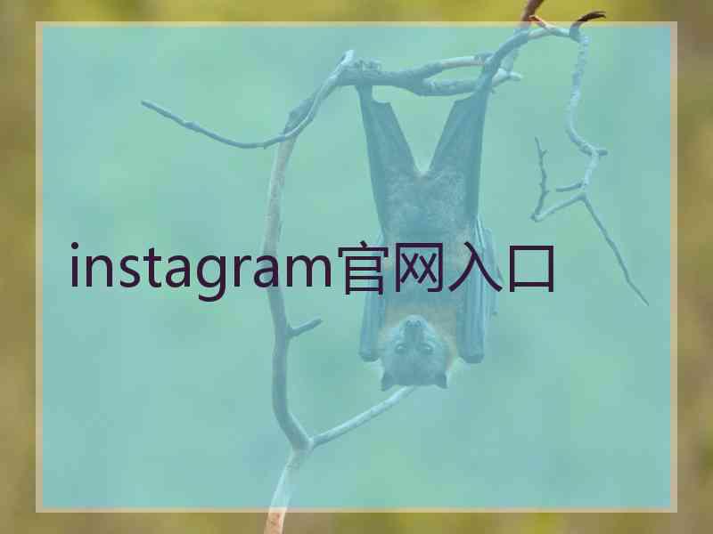 instagram官网入口