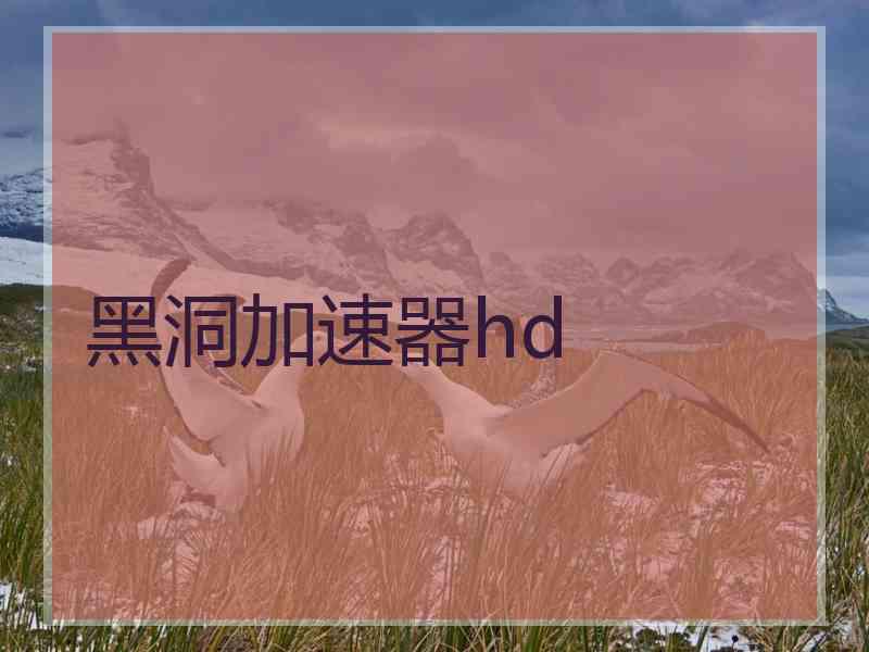 黑洞加速器hd