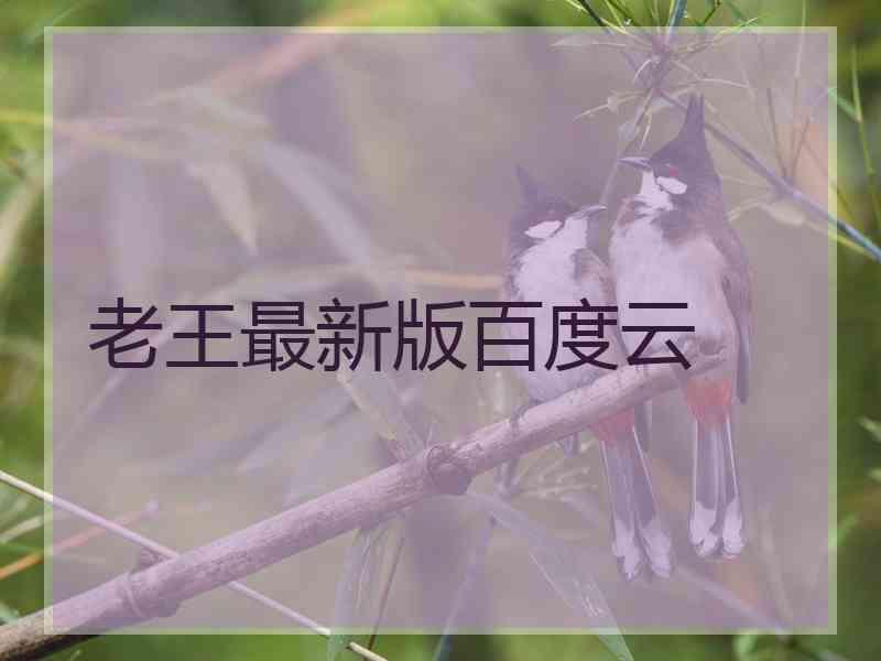 老王最新版百度云