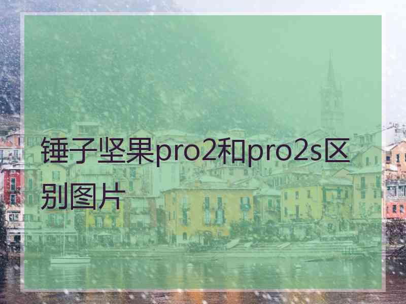 锤子坚果pro2和pro2s区别图片