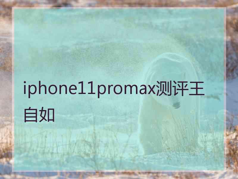 iphone11promax测评王自如