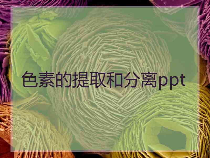 色素的提取和分离ppt