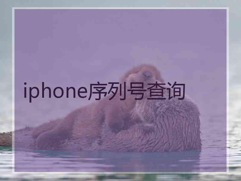 iphone序列号查询