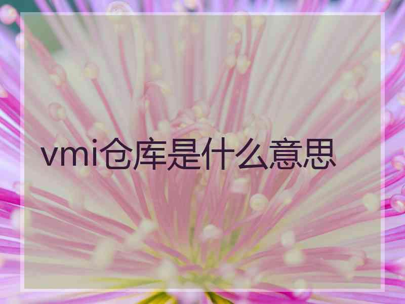 vmi仓库是什么意思