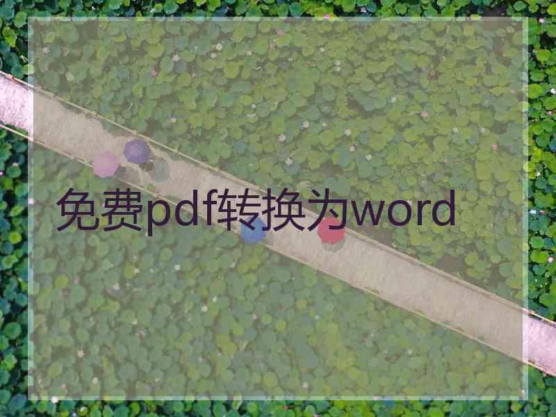 免费pdf转换为word