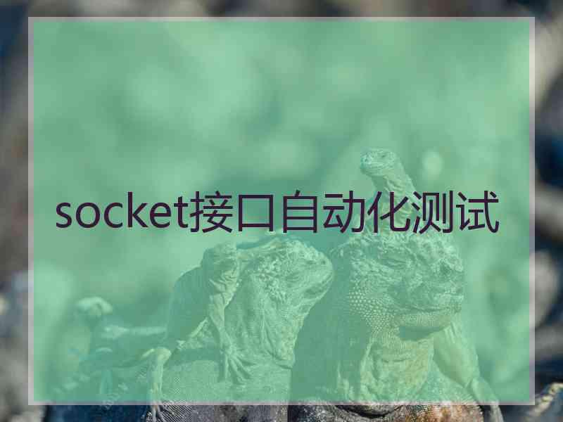 socket接口自动化测试