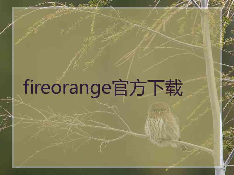 fireorange官方下载