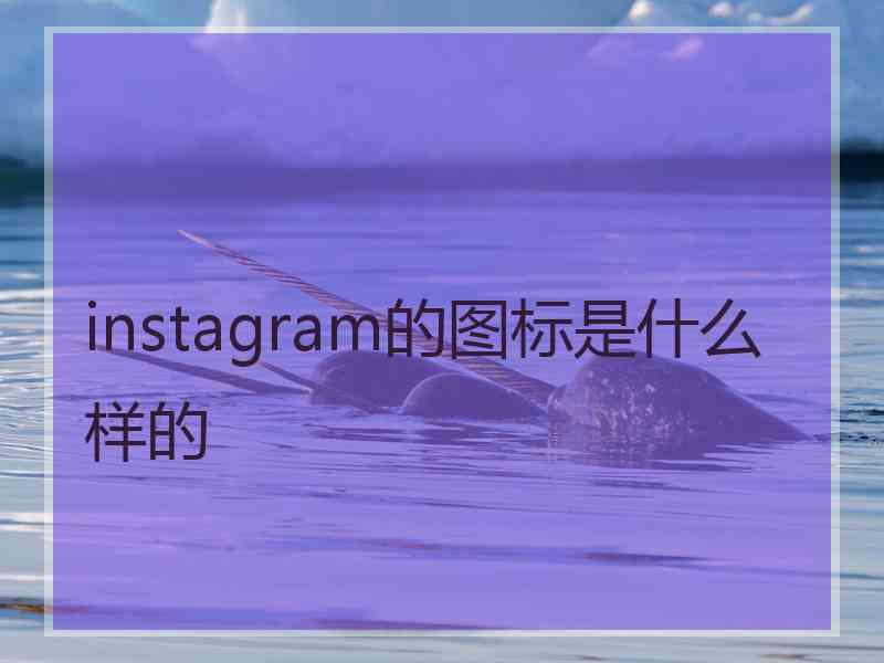 instagram的图标是什么样的