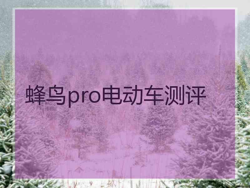 蜂鸟pro电动车测评