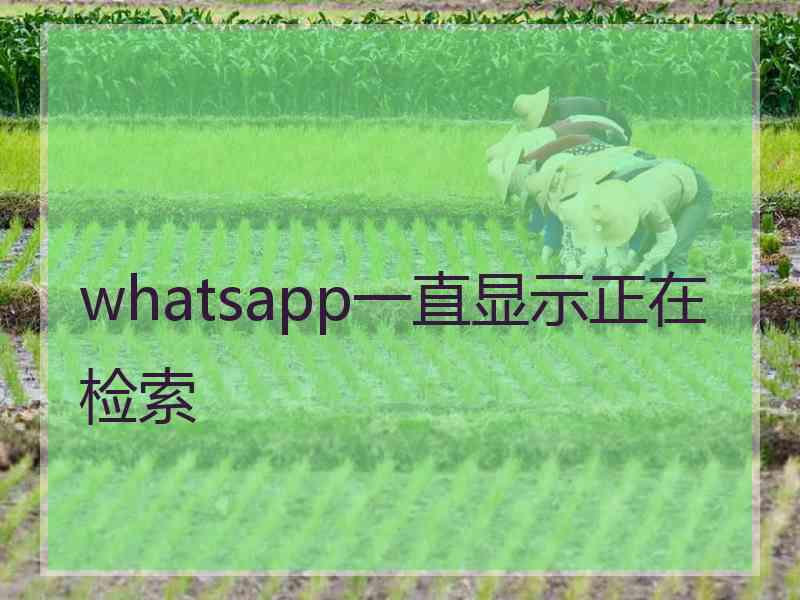 whatsapp一直显示正在检索