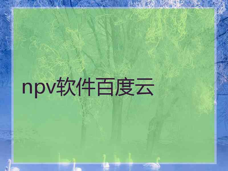 npv软件百度云