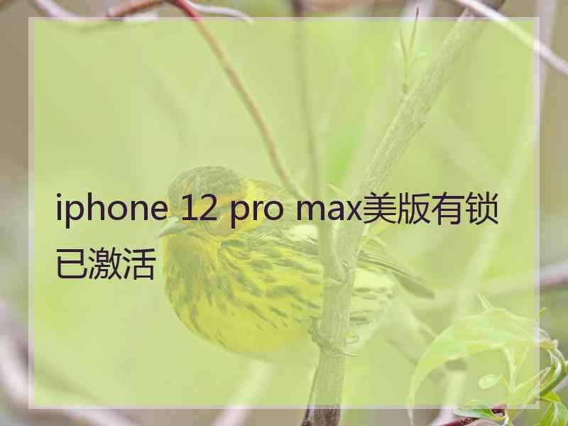 iphone 12 pro max美版有锁已激活