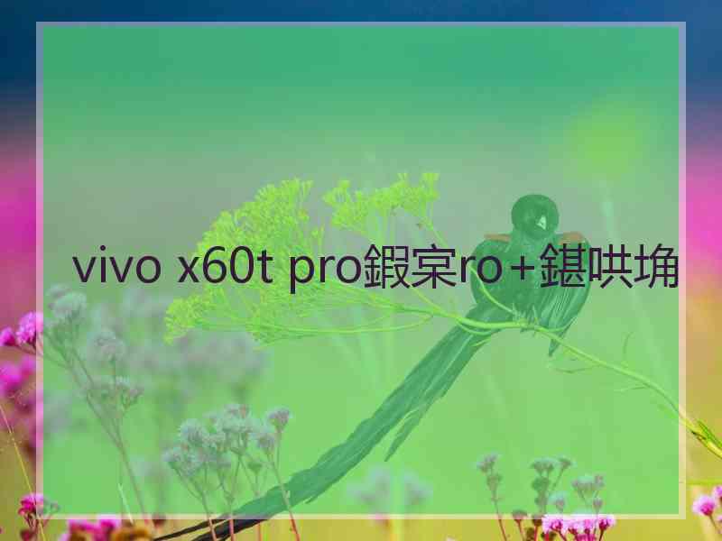 vivo x60t pro鍜宲ro+鍖哄埆