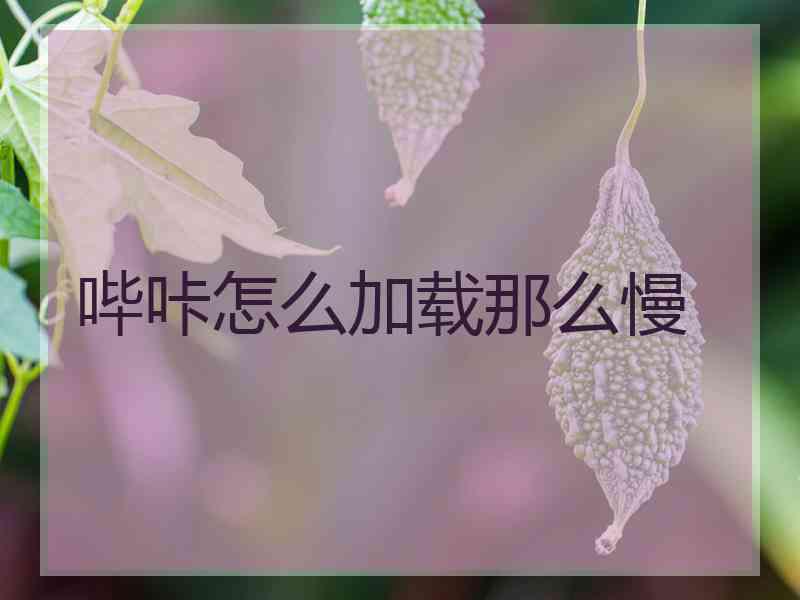 哔咔怎么加载那么慢