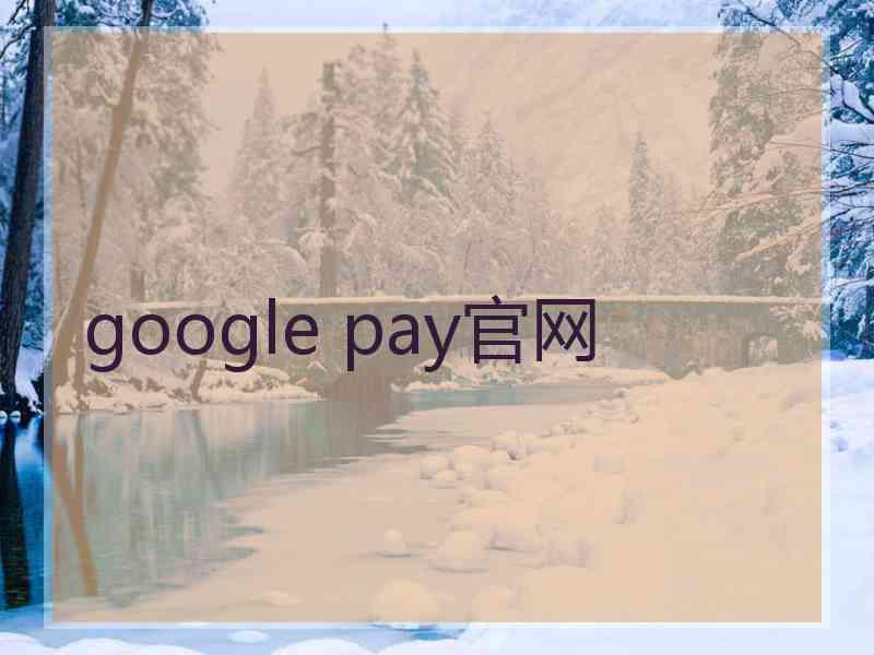 google pay官网