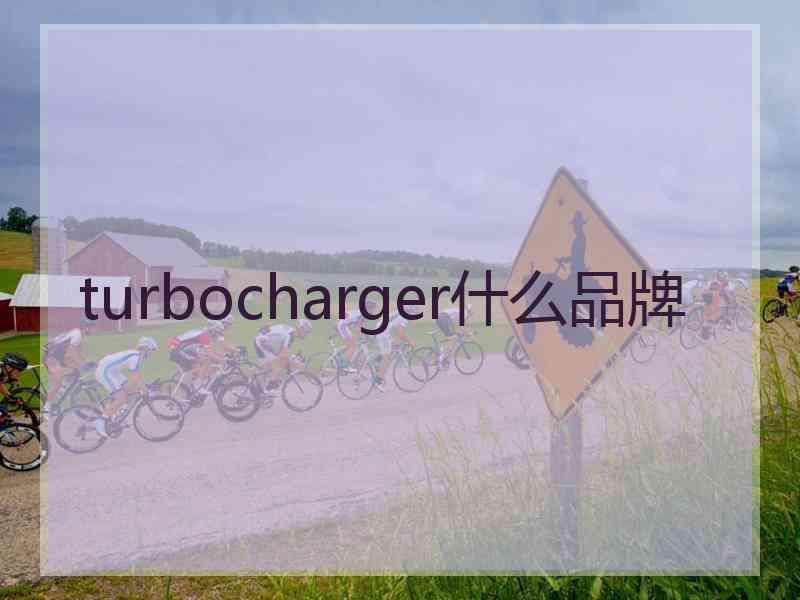 turbocharger什么品牌