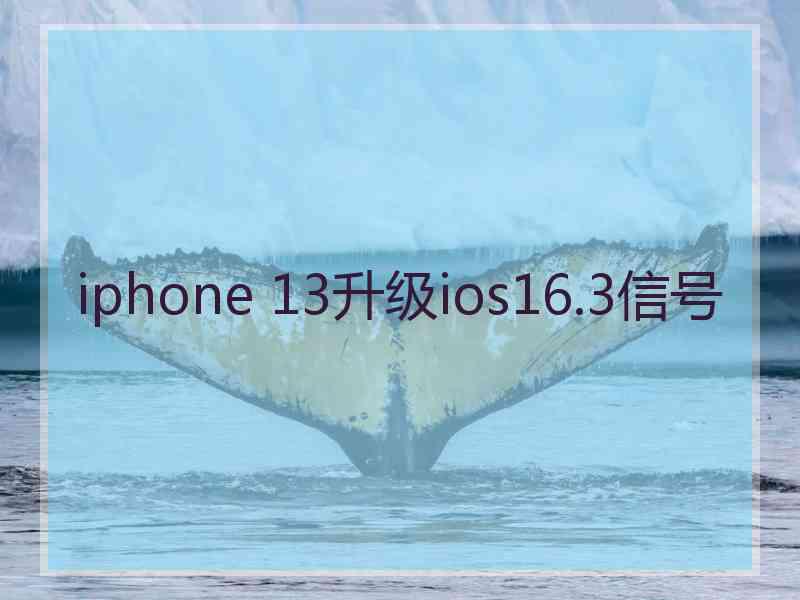 iphone 13升级ios16.3信号