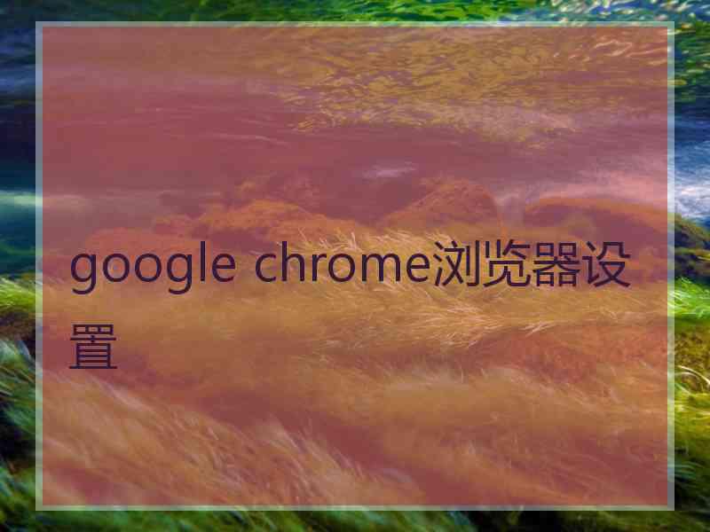 google chrome浏览器设置