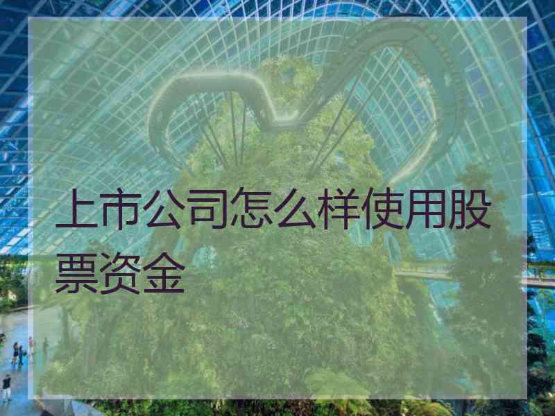 上市公司怎么样使用股票资金