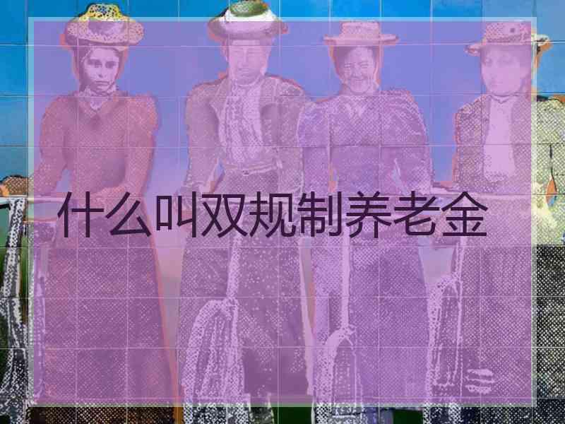 什么叫双规制养老金