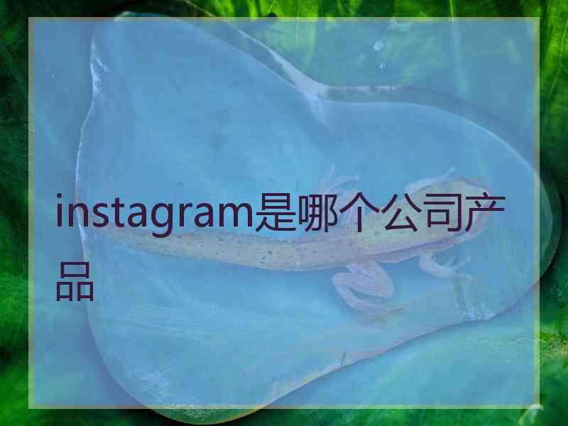 instagram是哪个公司产品