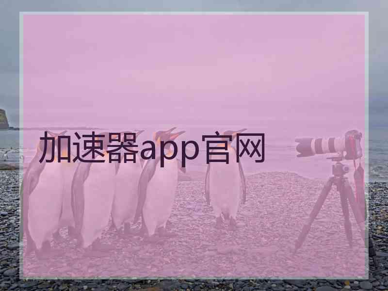 加速器app官网