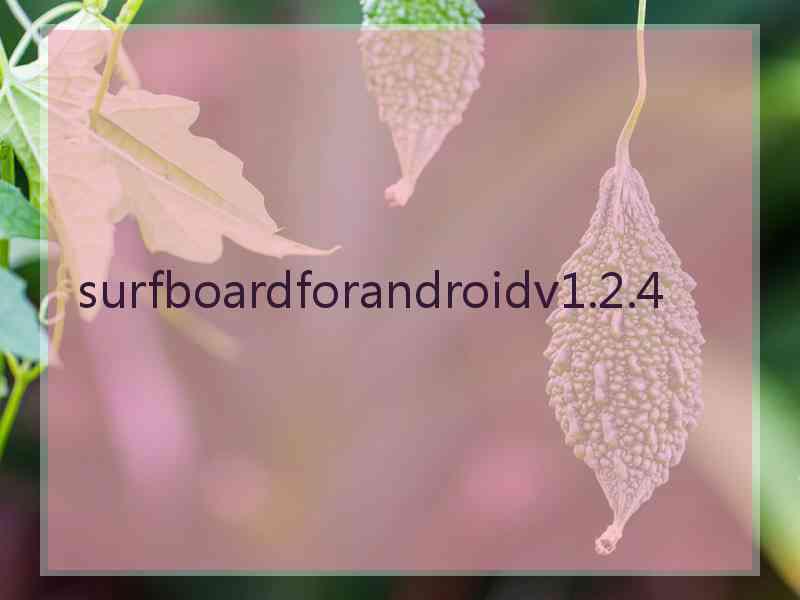 surfboardforandroidv1.2.4