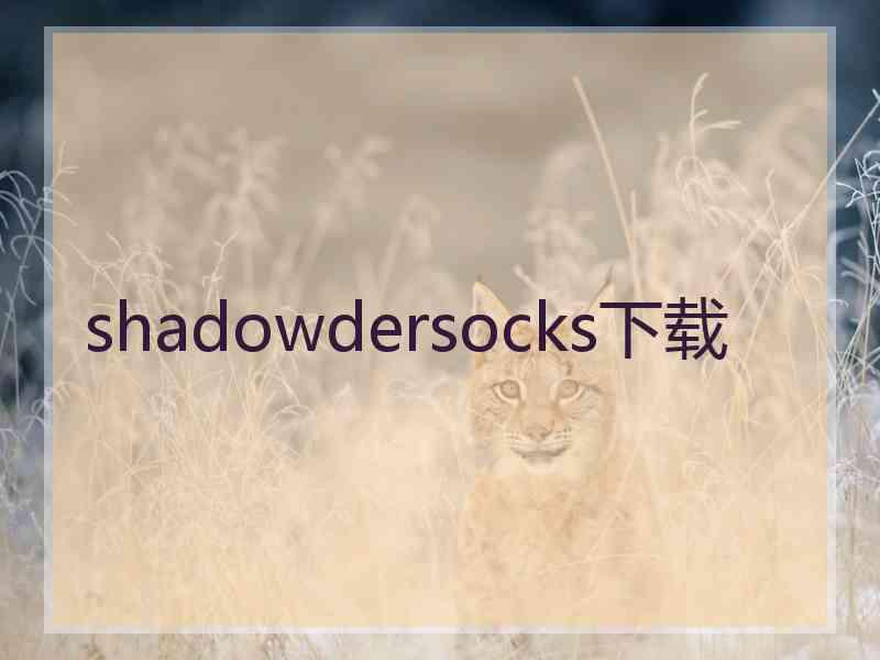 shadowdersocks下载