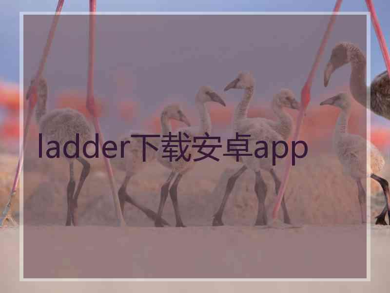 ladder下载安卓app