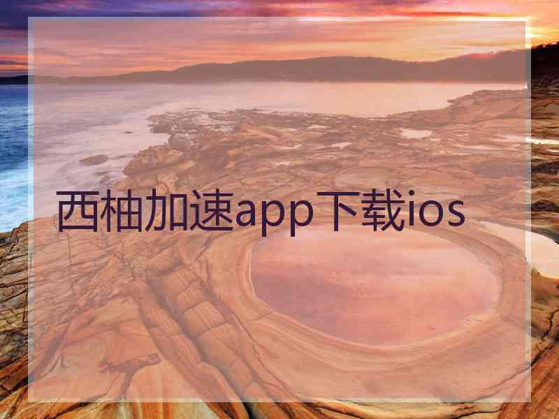 西柚加速app下载ios