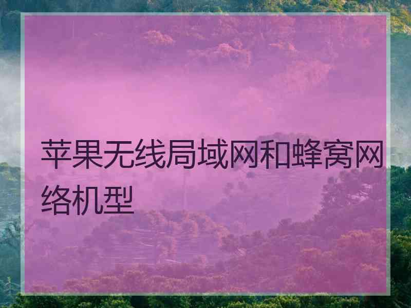 苹果无线局域网和蜂窝网络机型